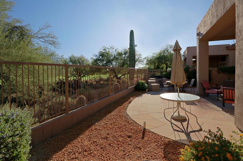 Backyard 1