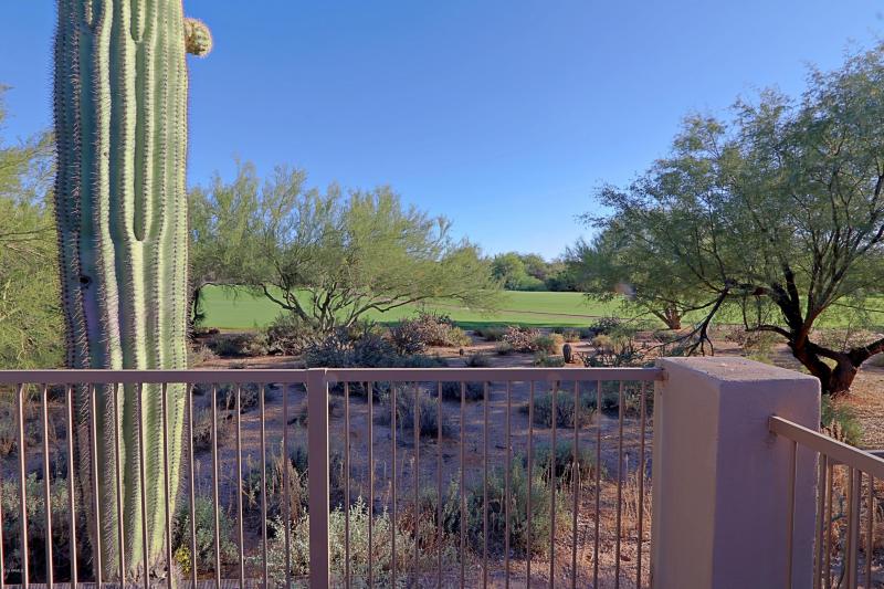 Backyard 5