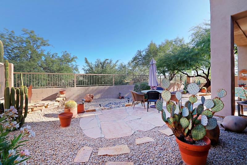 Backyard 1