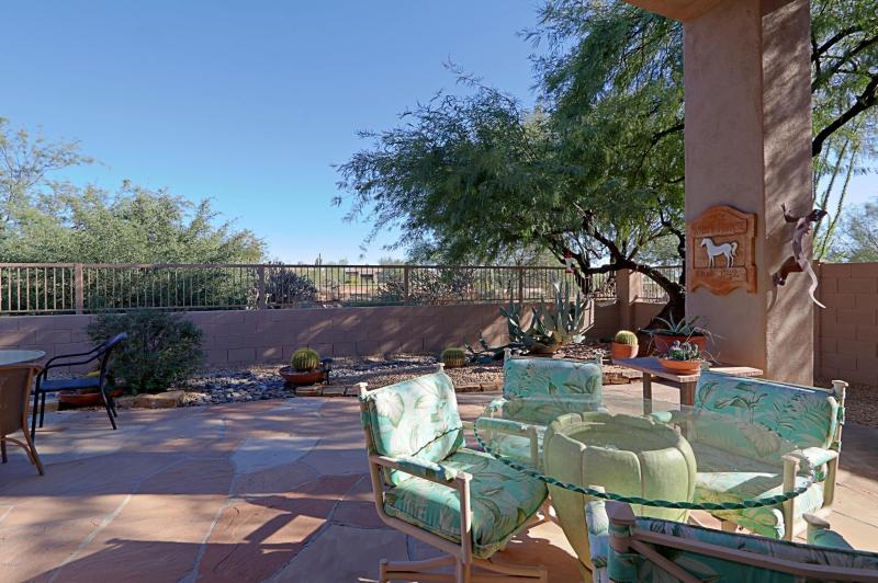 Backyard 5