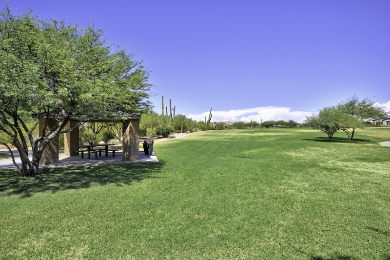 Community Park