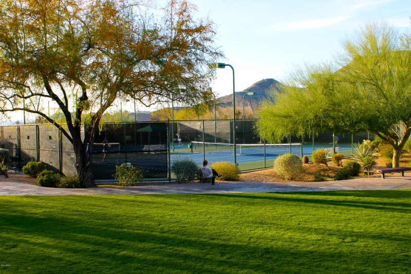 tennis terravita