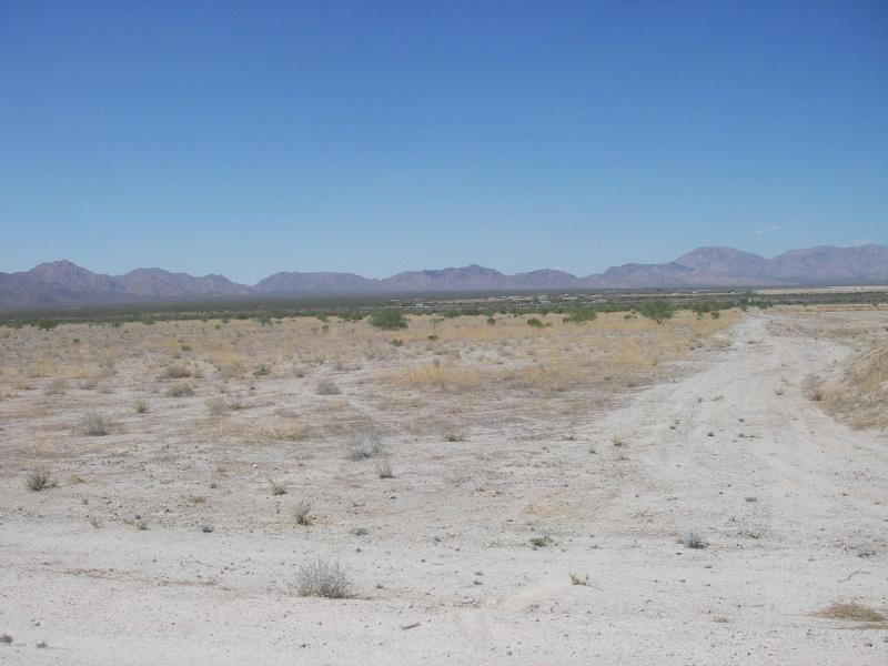 View North West