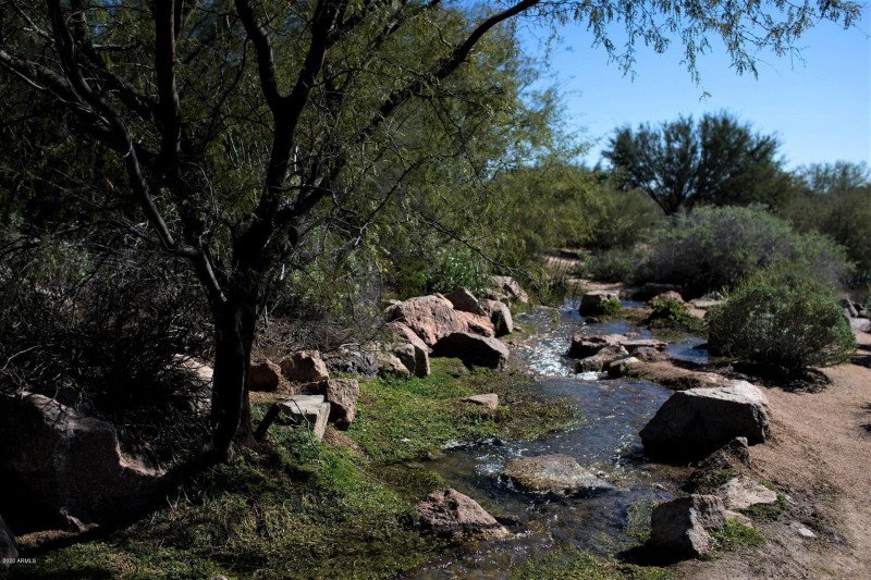 vets oasis park