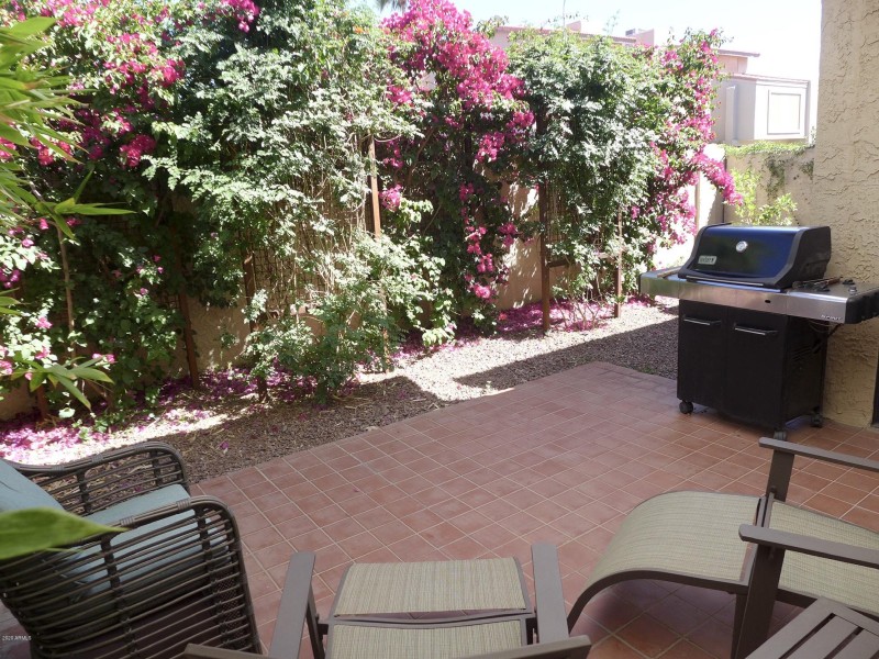 Back Patio