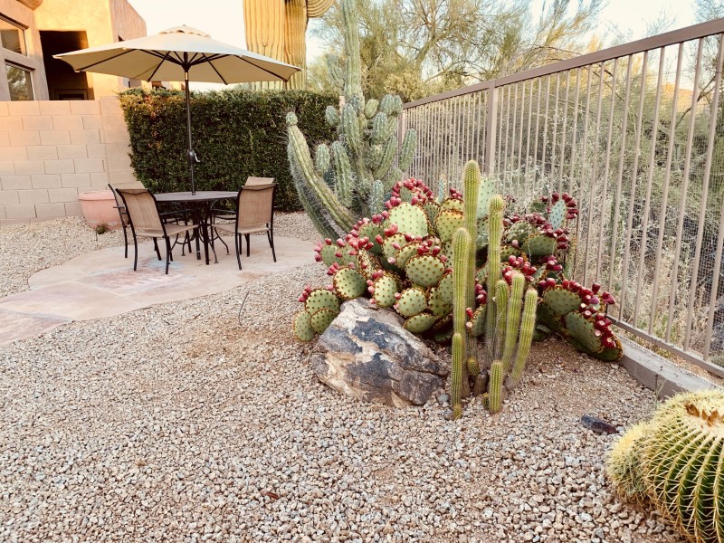 Outdoor dining 2