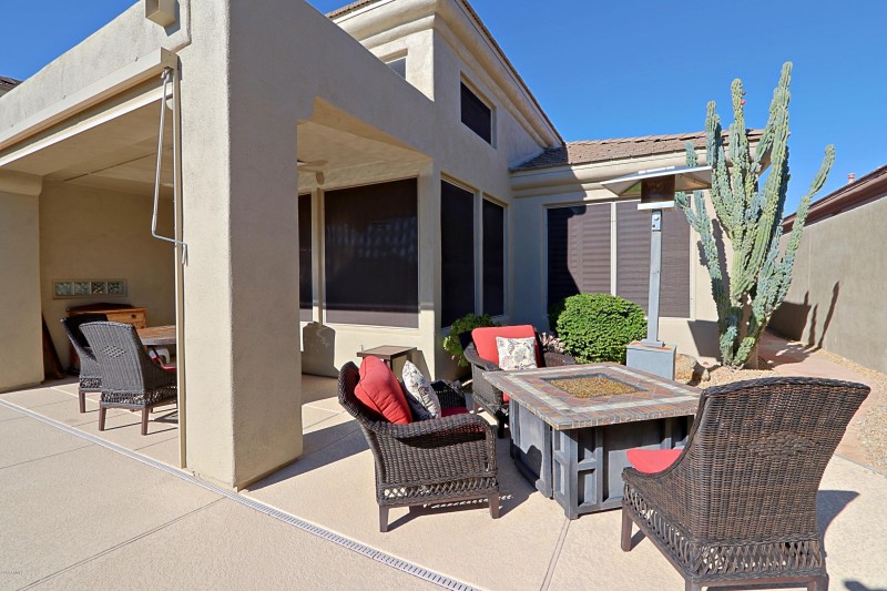 Backyard 2