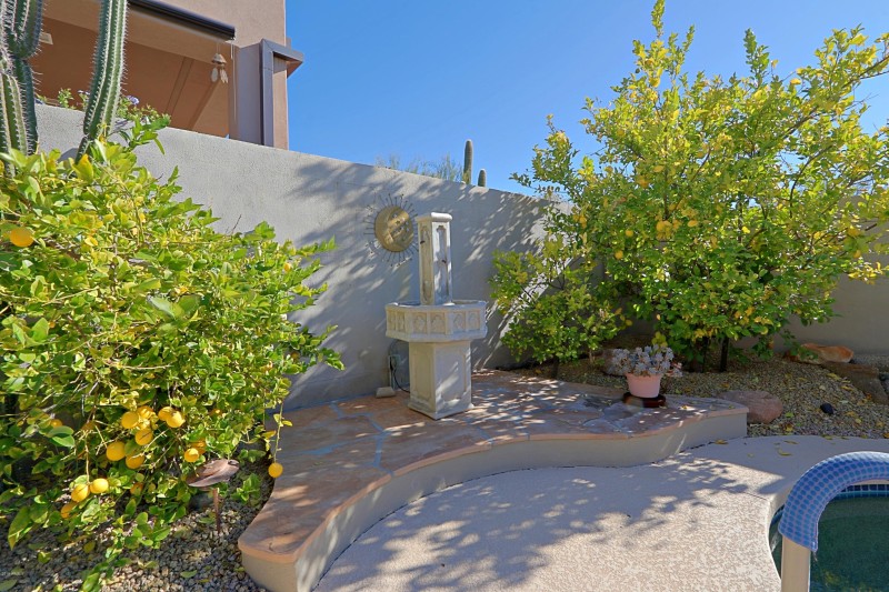 Backyard 3