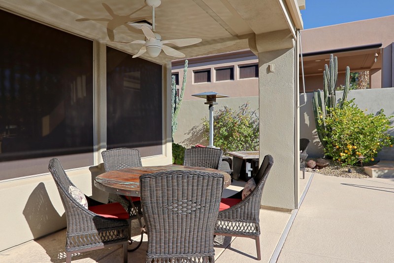 Backyard 7