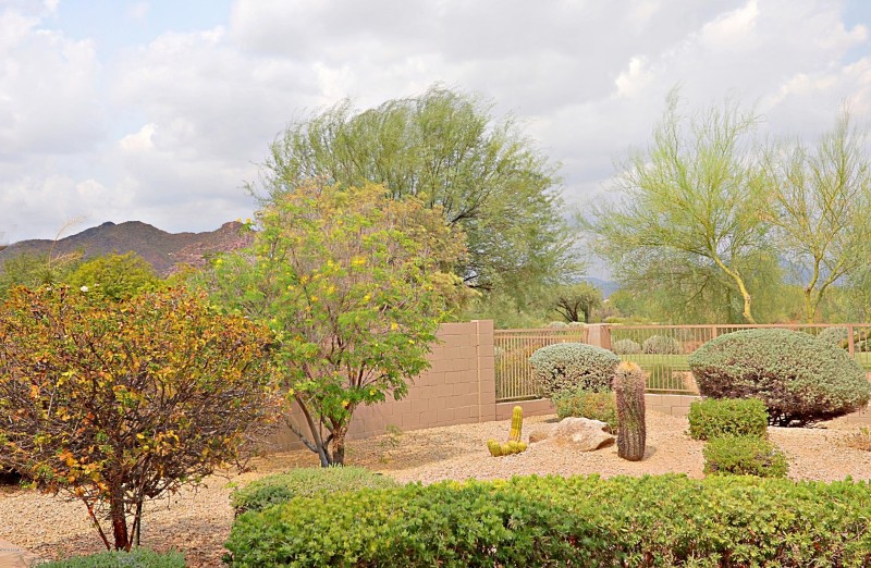 Backyard 2