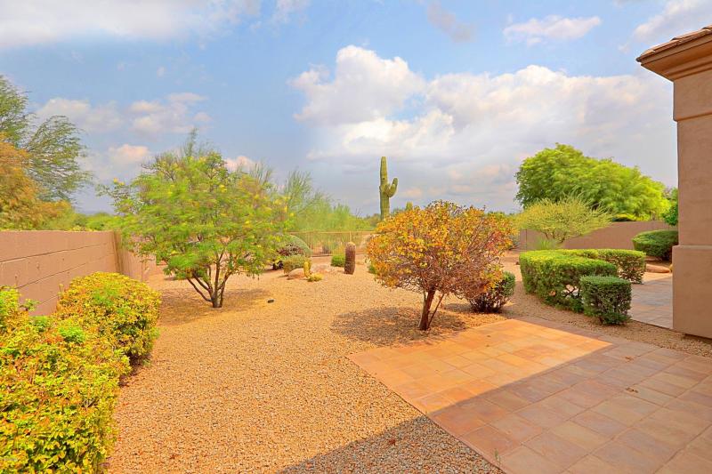 Backyard 3