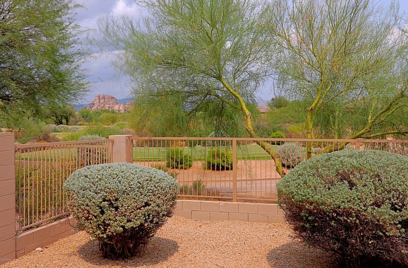Backyard 4