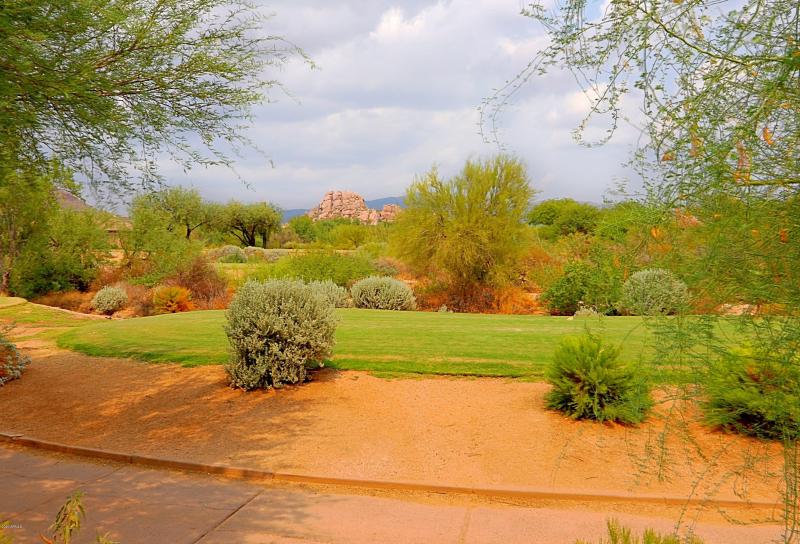 Backyard 5