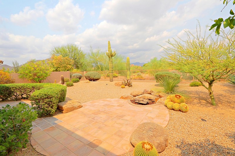 Backyard 8