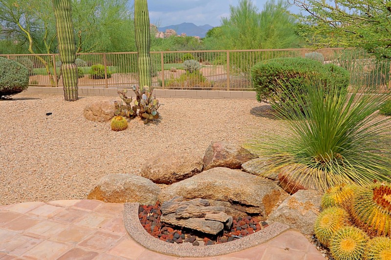 Backyard 10