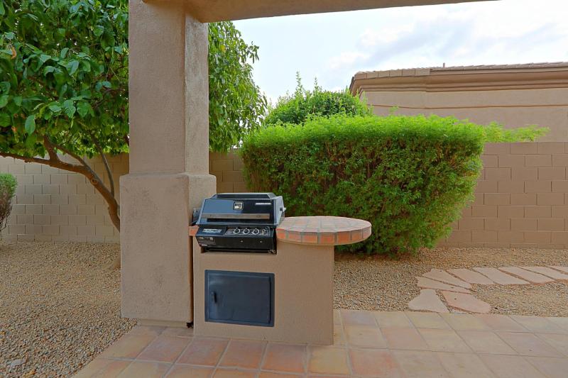 Backyard 11