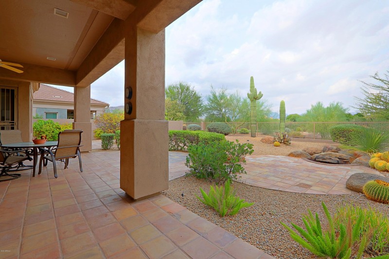 Backyard 12