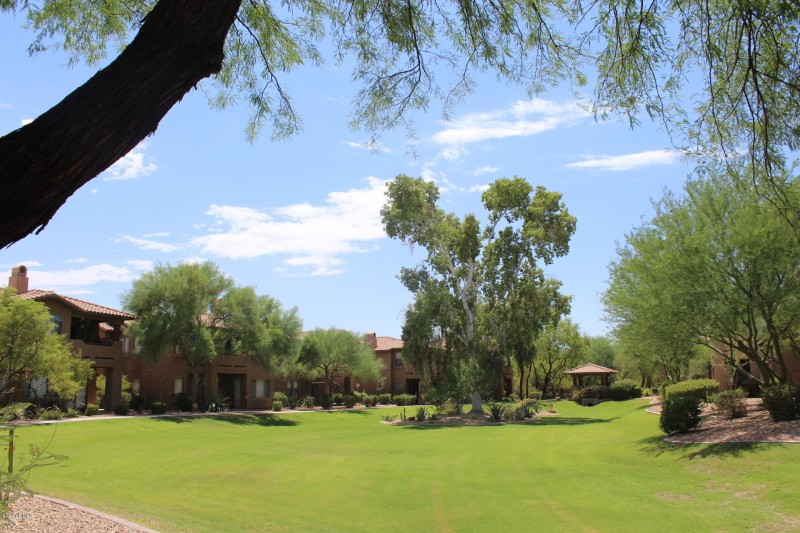 Common Area with grass