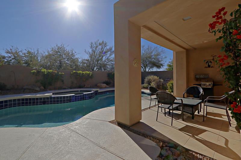 Backyard 2