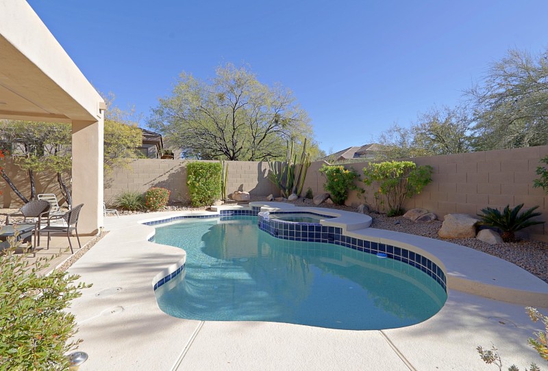 Backyard 6
