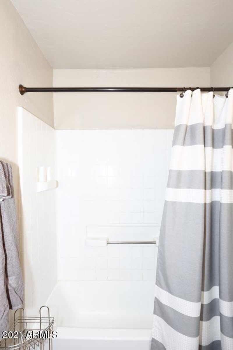 Master Bath-Tub