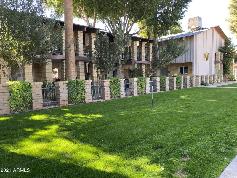 Grassy Front Area