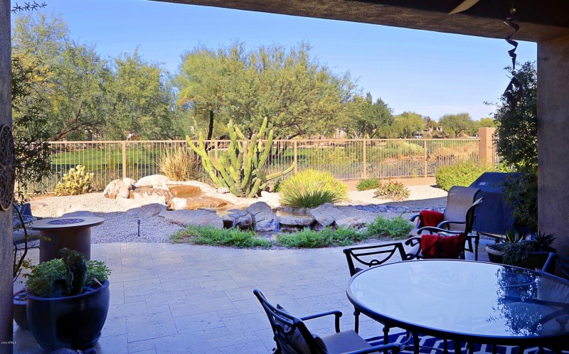 Backyard 1