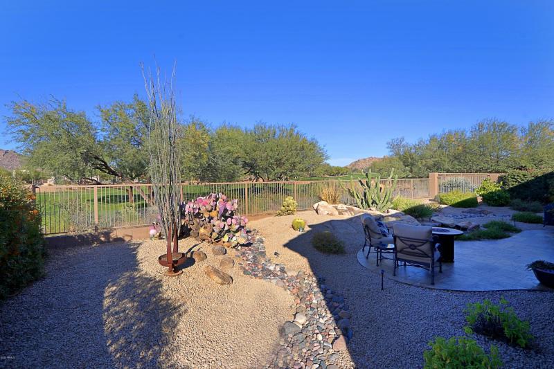 Backyard 4