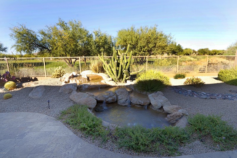 Backyard 2