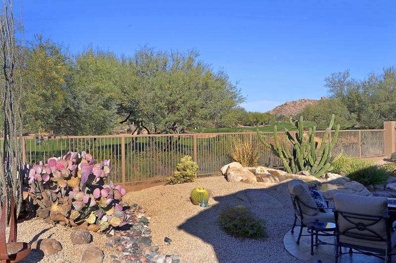 Backyard 5