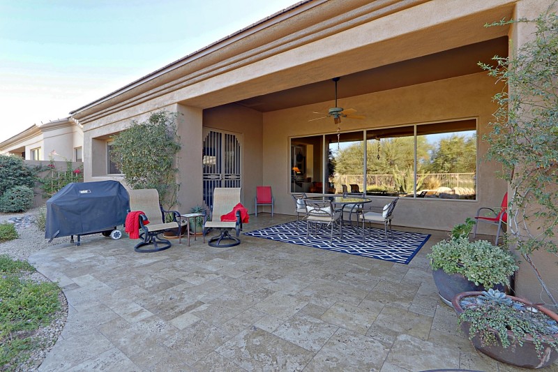 Backyard 10
