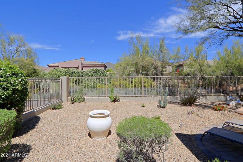 Backyard 1