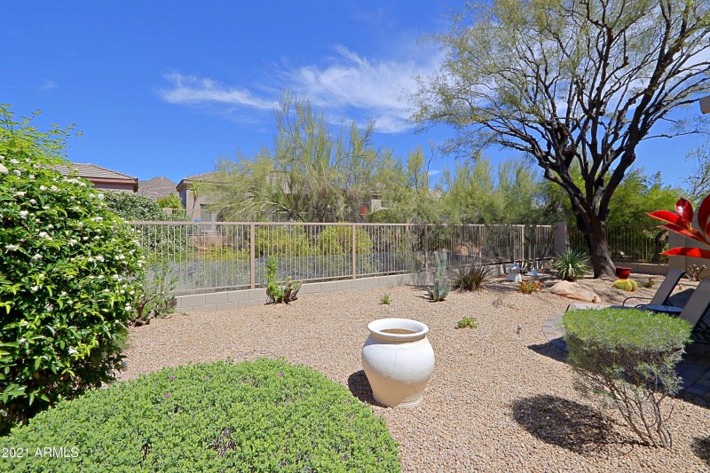 Backyard 2