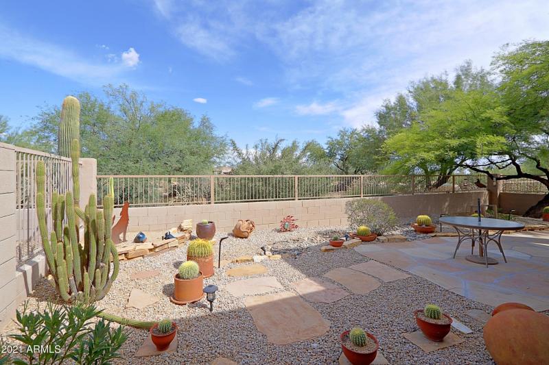 Backyard 1