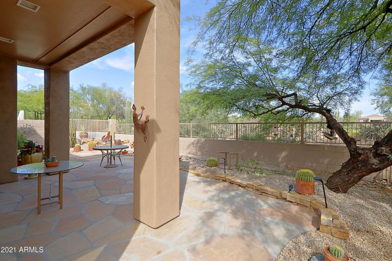 Backyard 3