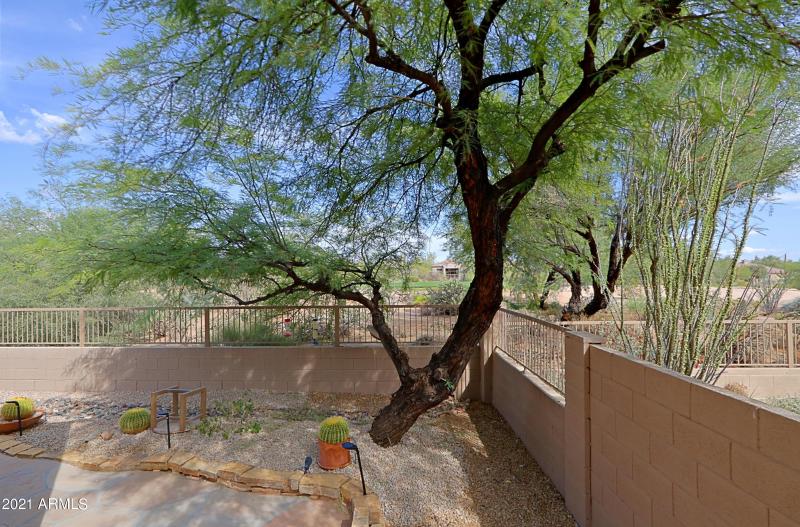 Backyard 4