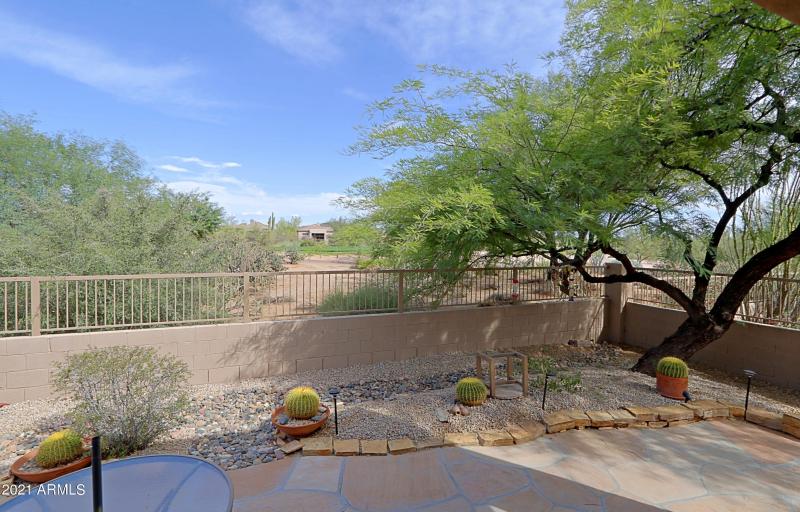 Backyard 6