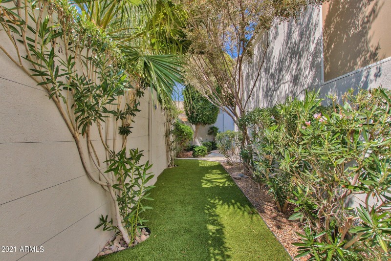 Side Yard