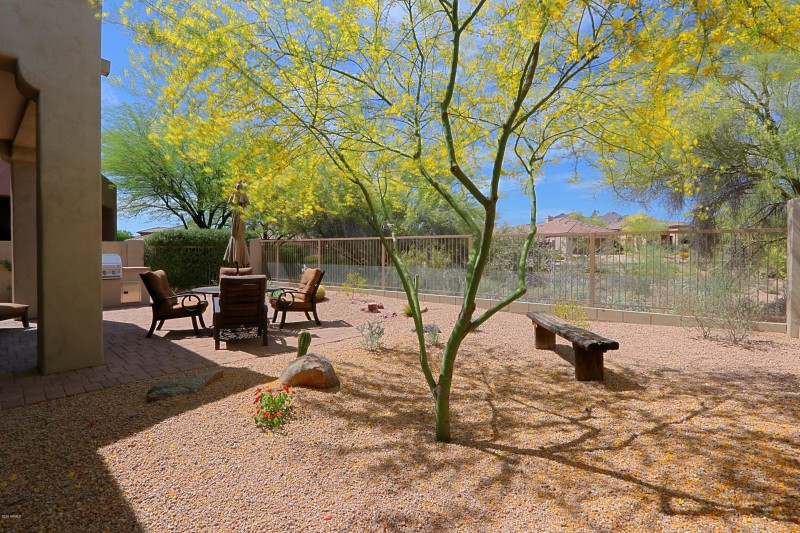 Backyard 5