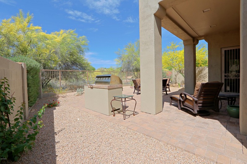 Backyard 1