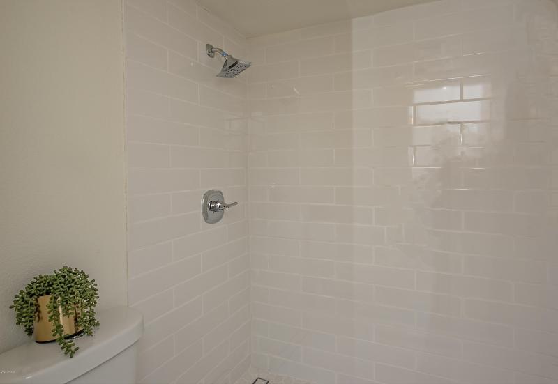 016_Master Shower Detail
