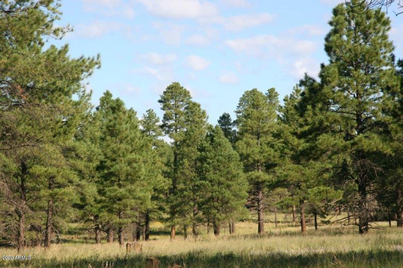 HJ Ranch