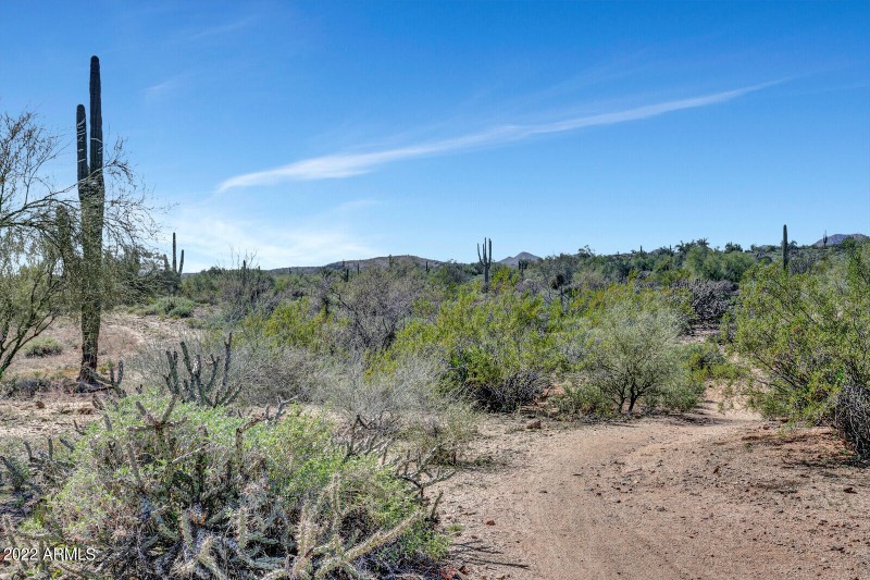 Beautiful Desert Hiking Trails