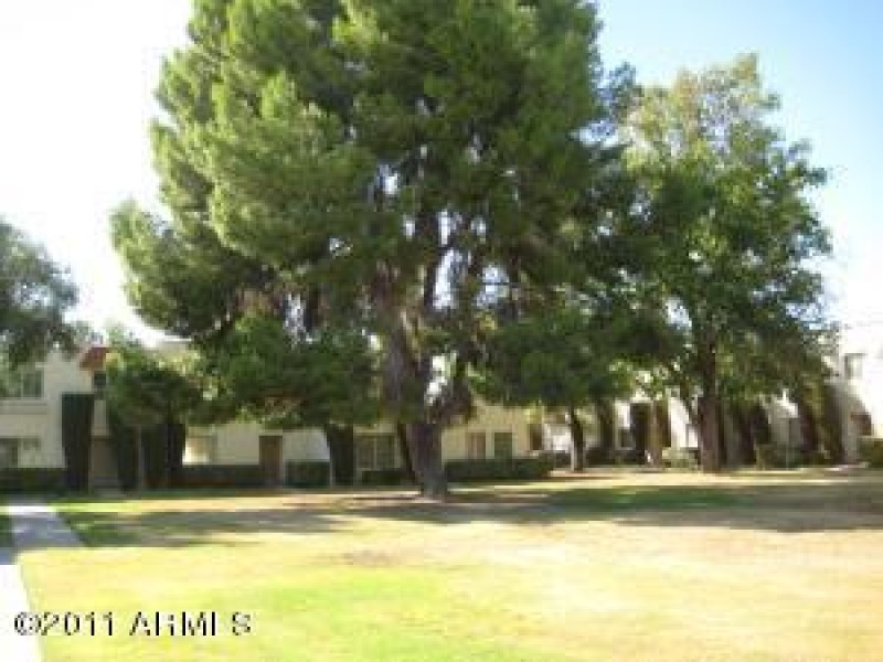 CDV trees