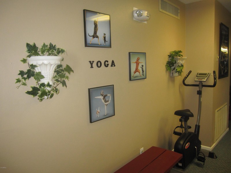 CDV workout