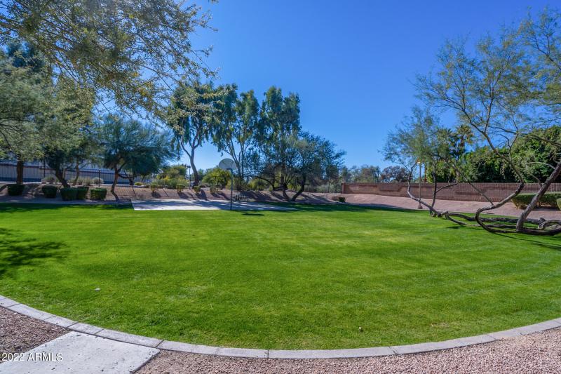 Nearby Neighborhood Park