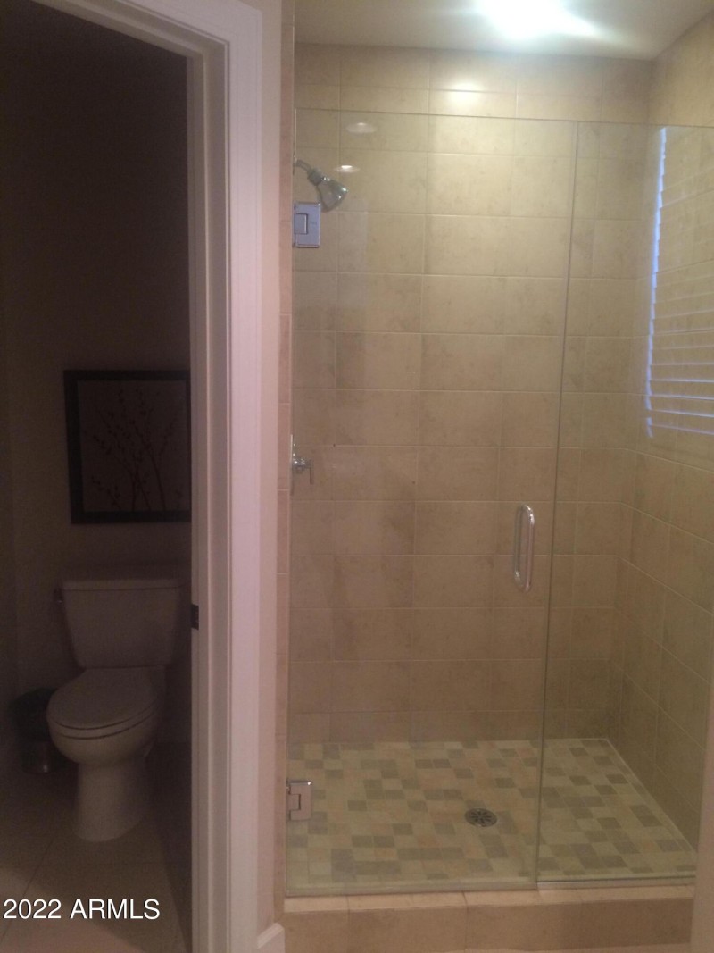 Master Shower
