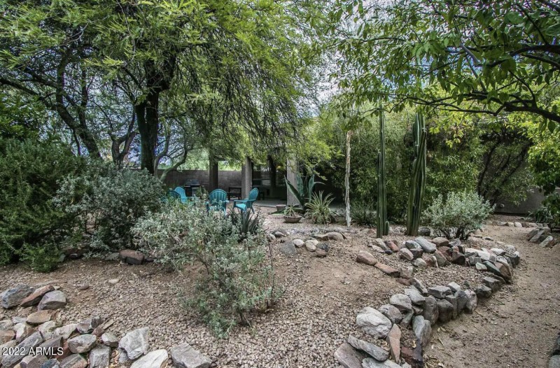 Backyard