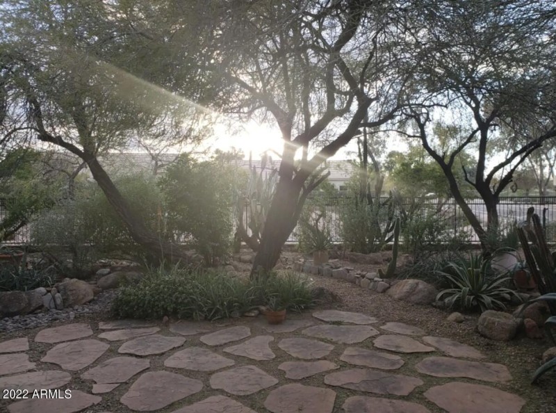 Backyard Patio