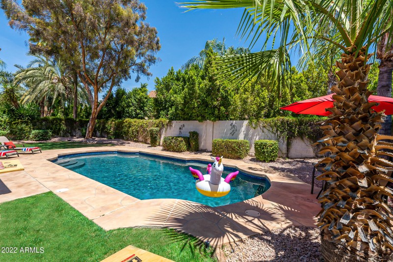 Tropical Oasis
